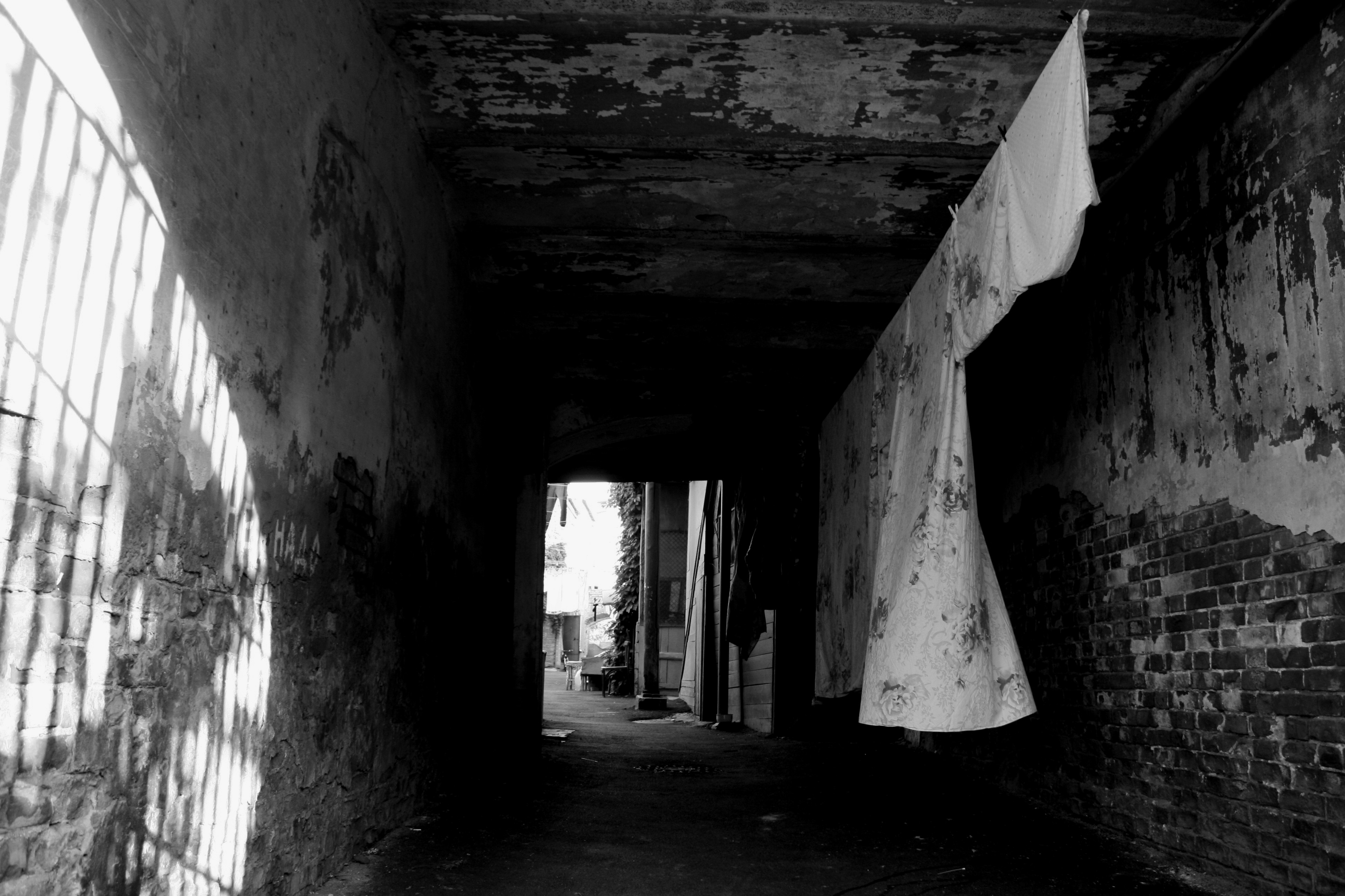 Backyards in the old city Backyards in the old city